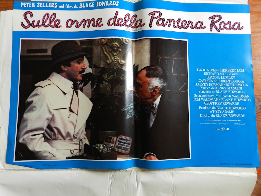 Sulle orme della Pantera Rosa 8