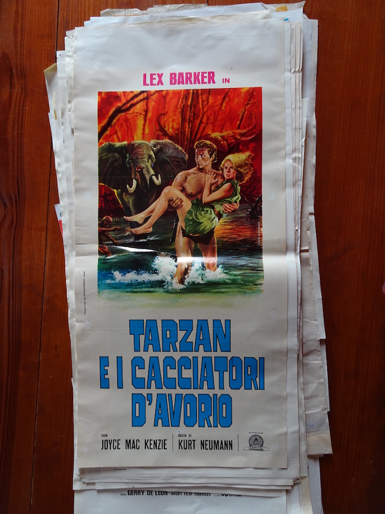 Tarzan e i cacciatori d’avorio