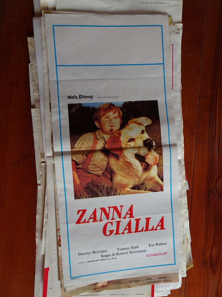 Zanna Gialla