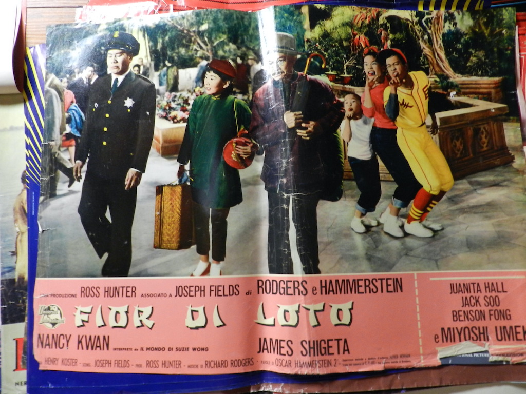 Fior di loto 4