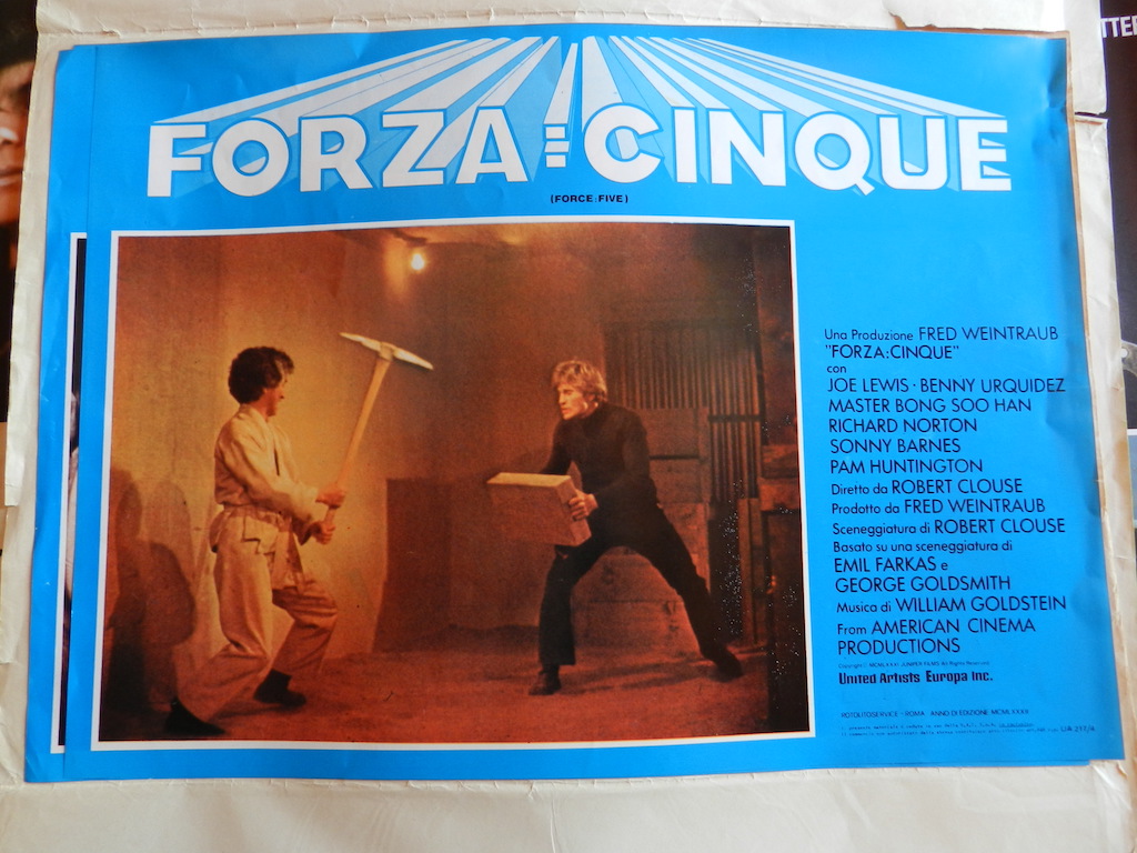 Forza cinque 6