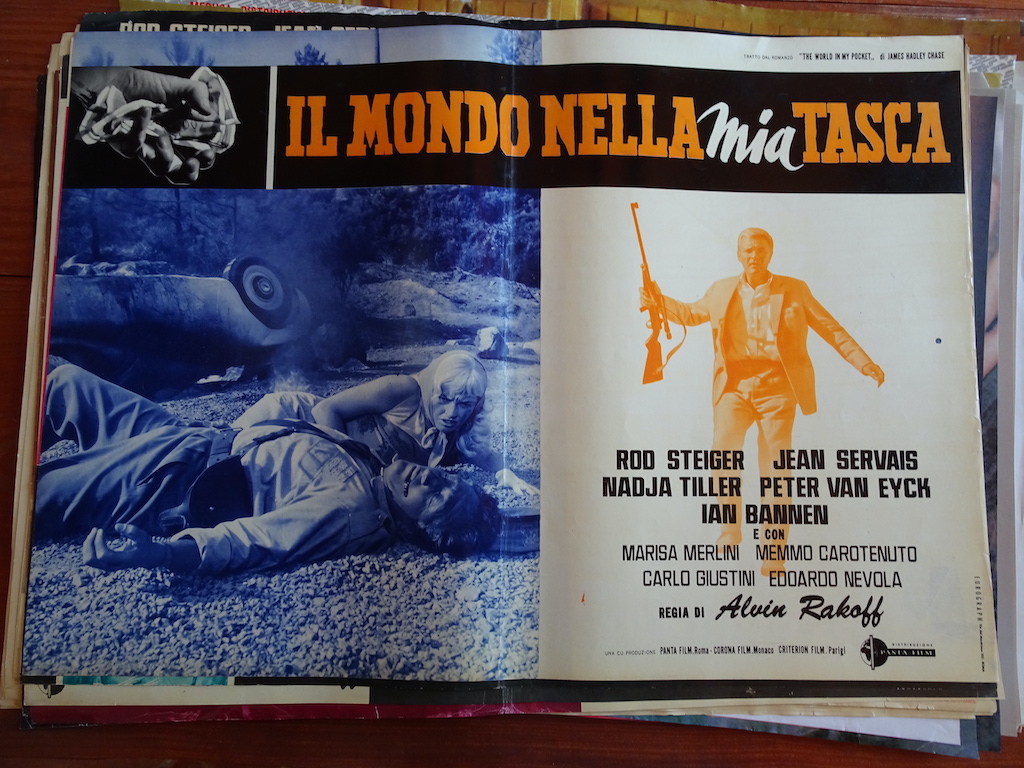Il mondo nella mia tasca 1