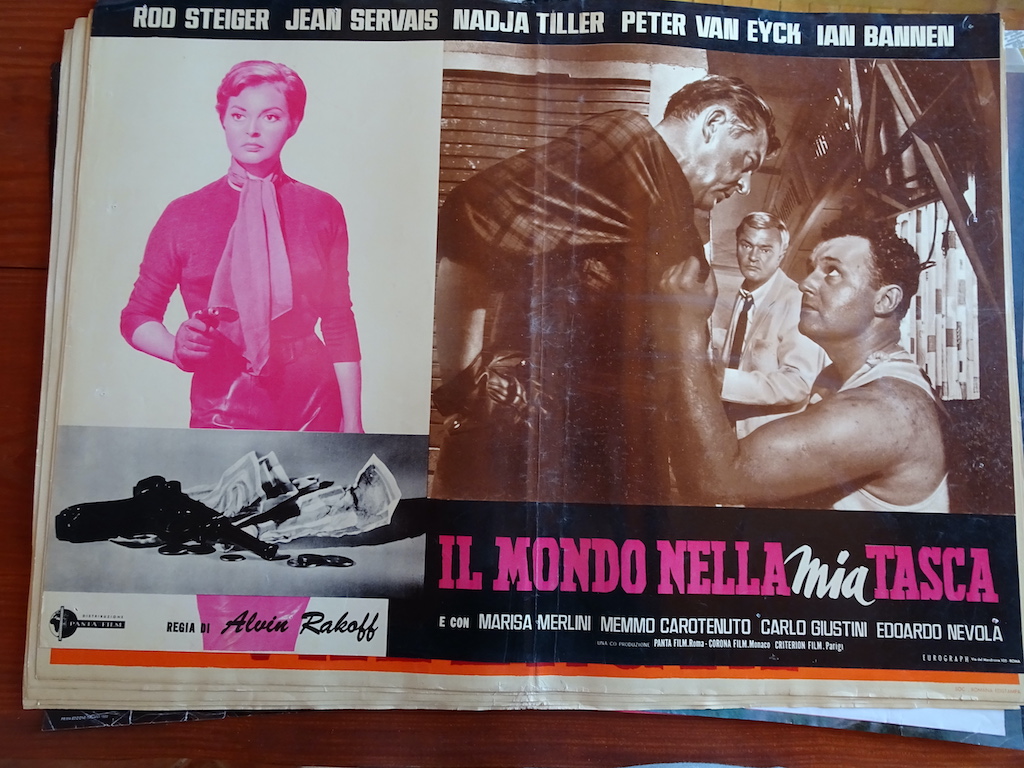 Il mondo nella mia tasca 7
