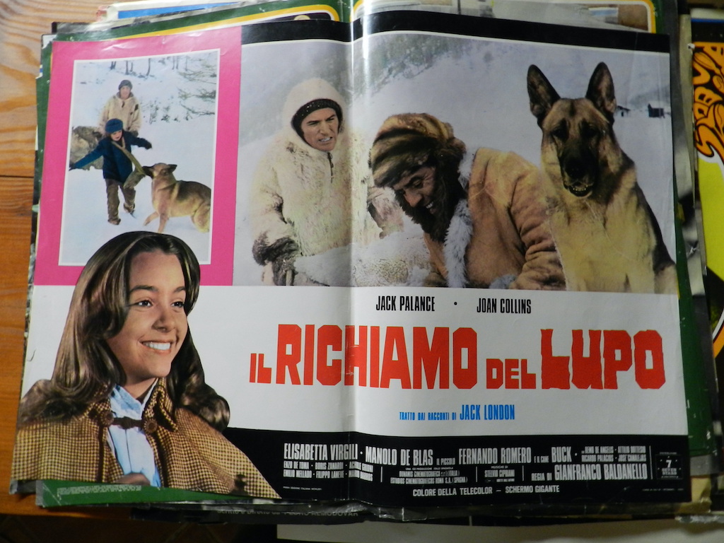 Il richiamo del lupo