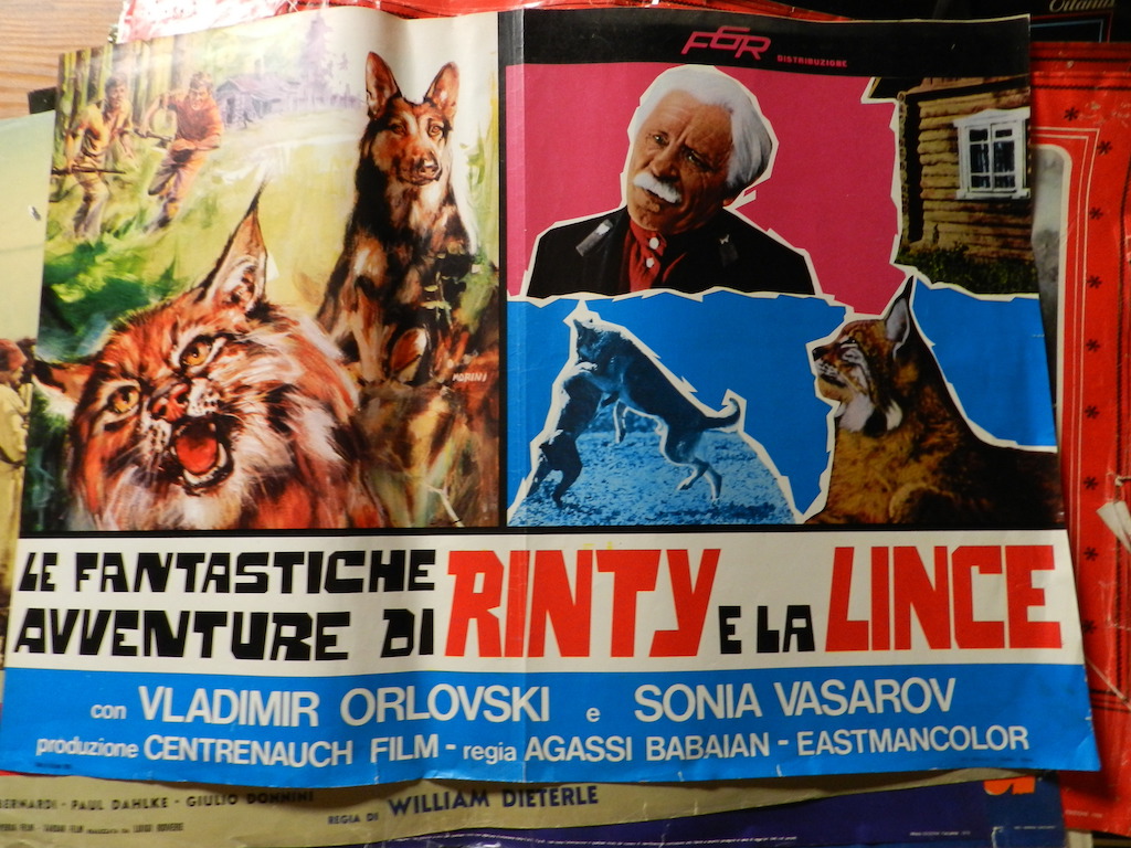 Le fantastiche avventure di Rinty e la lince