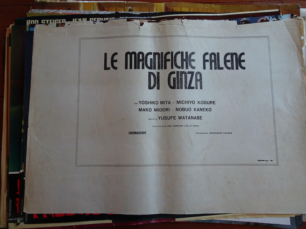 Le magnifiche falene di Ginza Text