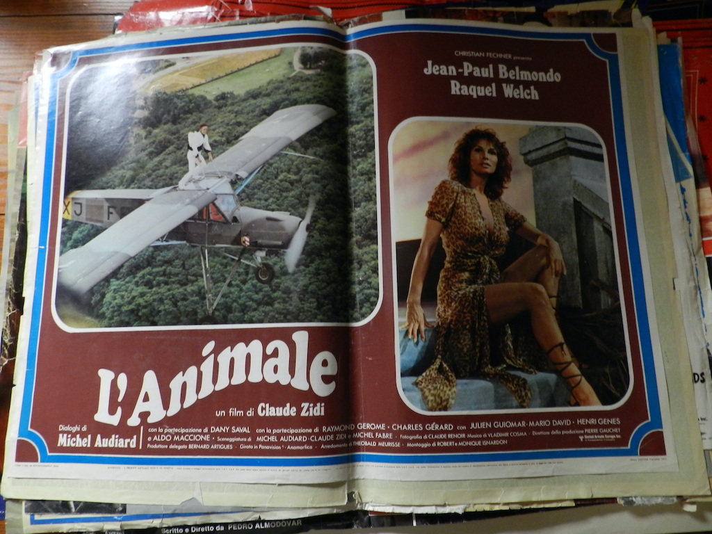 L’animale