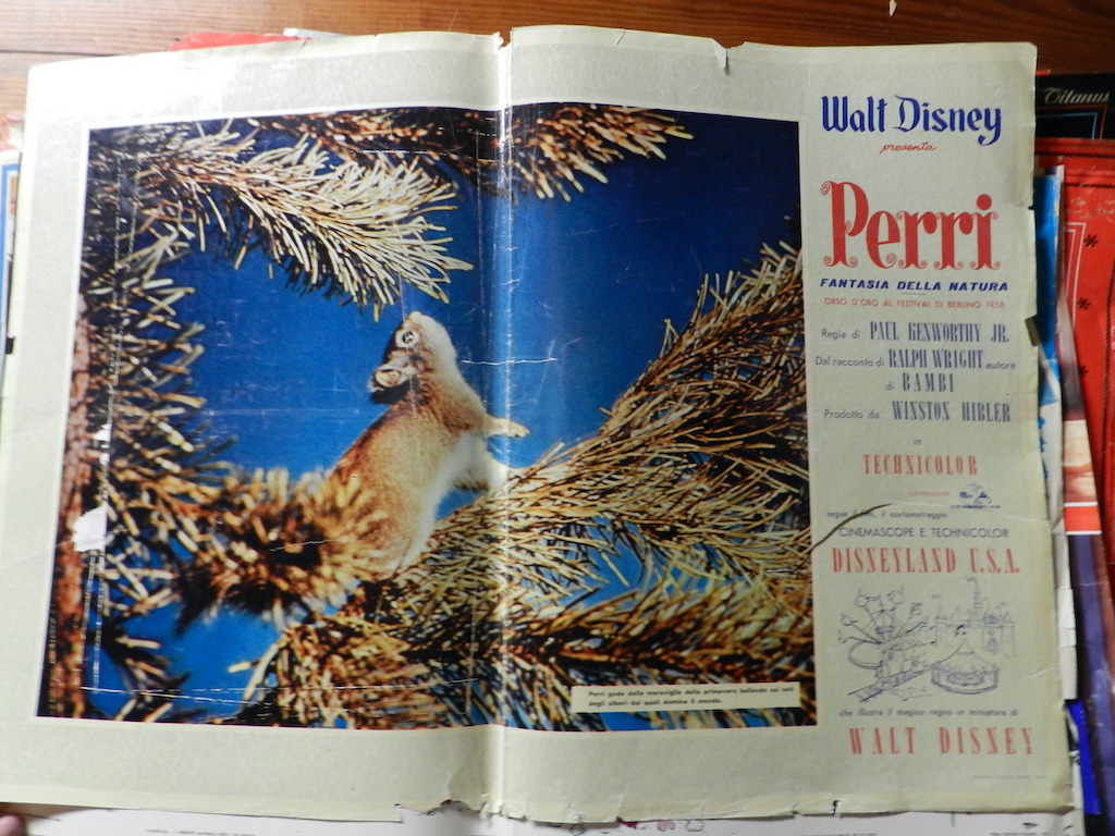 Perri, fantasia della natura