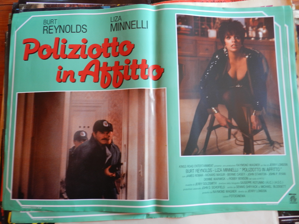 Poliziotto in affitto 3