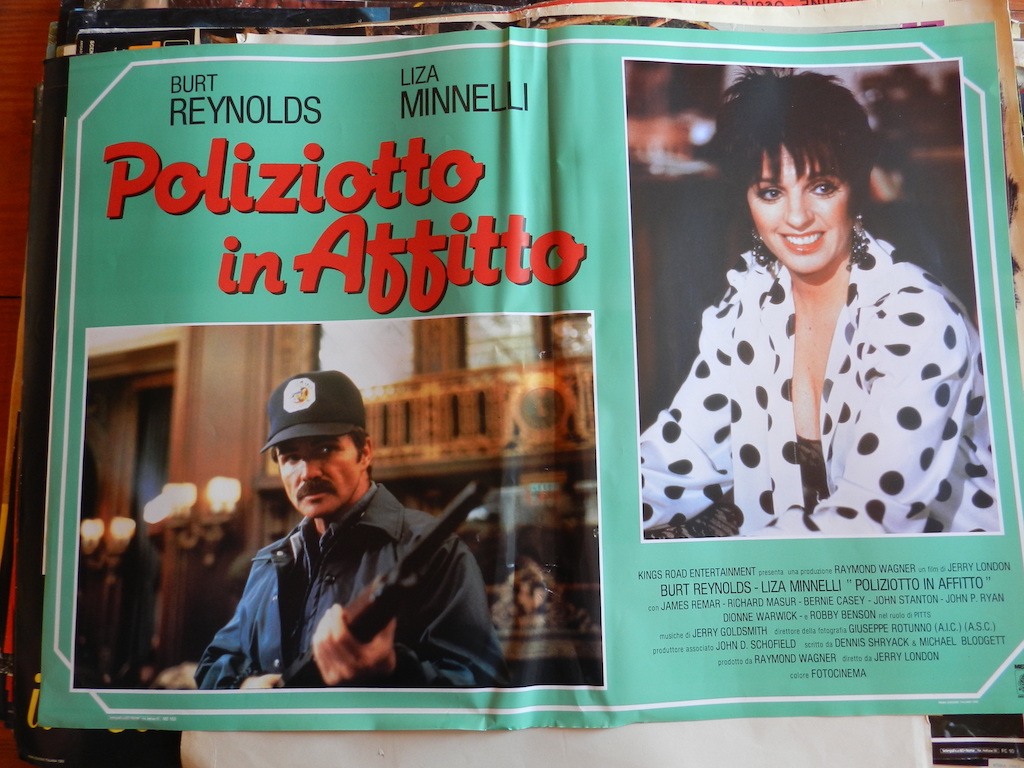 Poliziotto in affitto 8