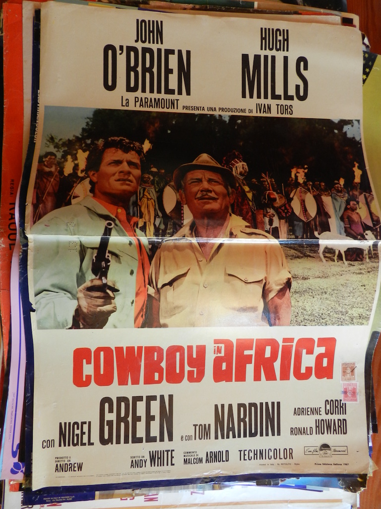 Cowboy in Africa