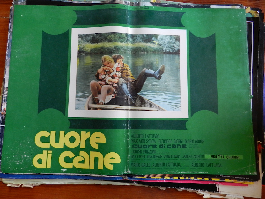 Cuore di cane 1