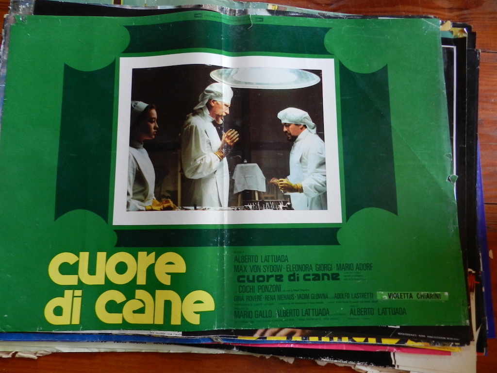 Cuore di cane 2