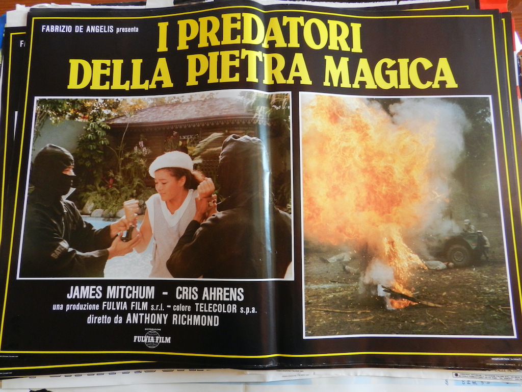 I predatori della pietra magica 1
