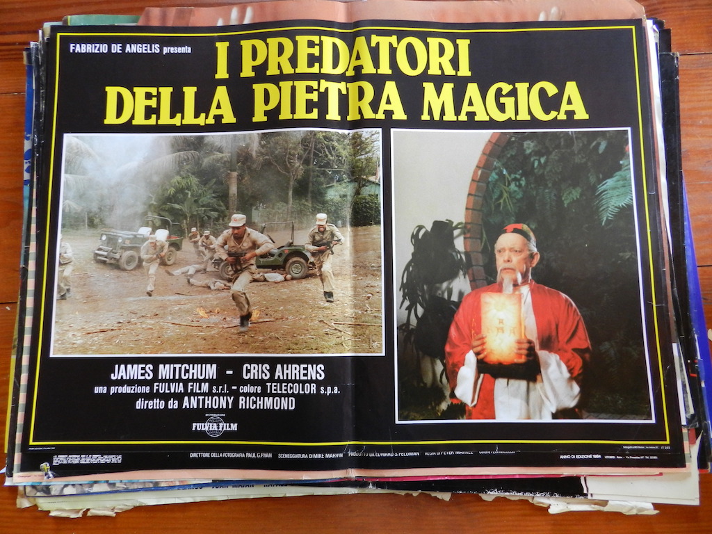 I predatori della pietra magica 6