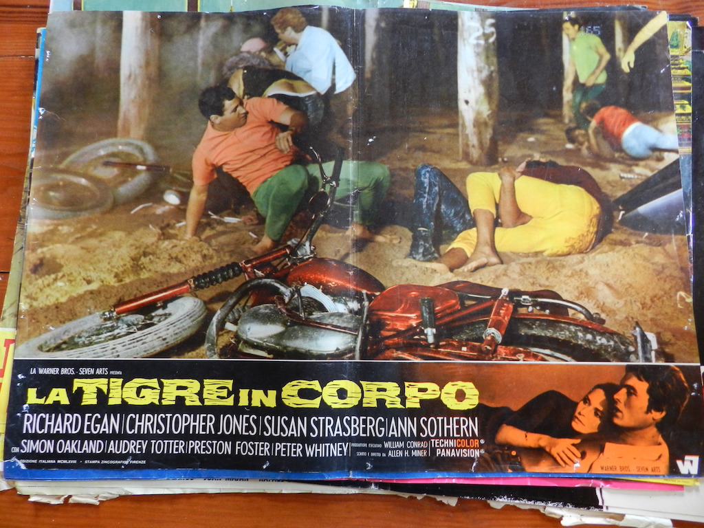 La tigre in corpo