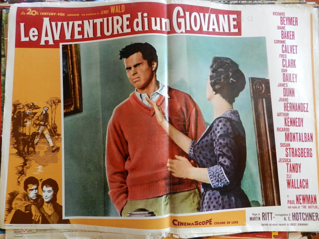 Le avventure di un giovane