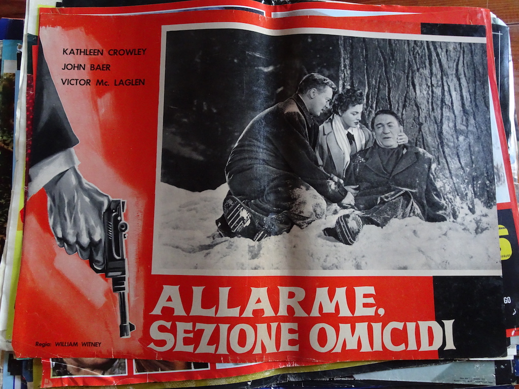 Allarme, sezione omicidi 2