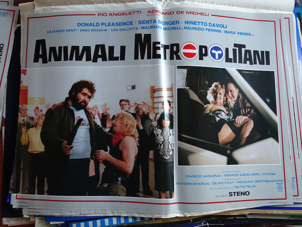 Animali metropolitani 4