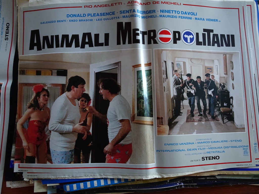 Animali metropolitani 5