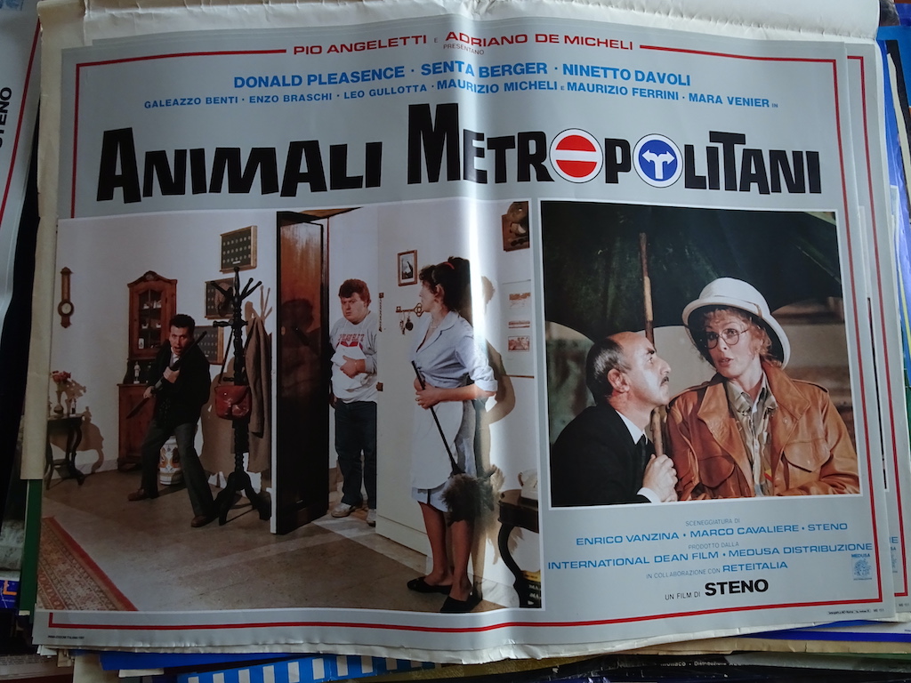 Animali metropolitani 6