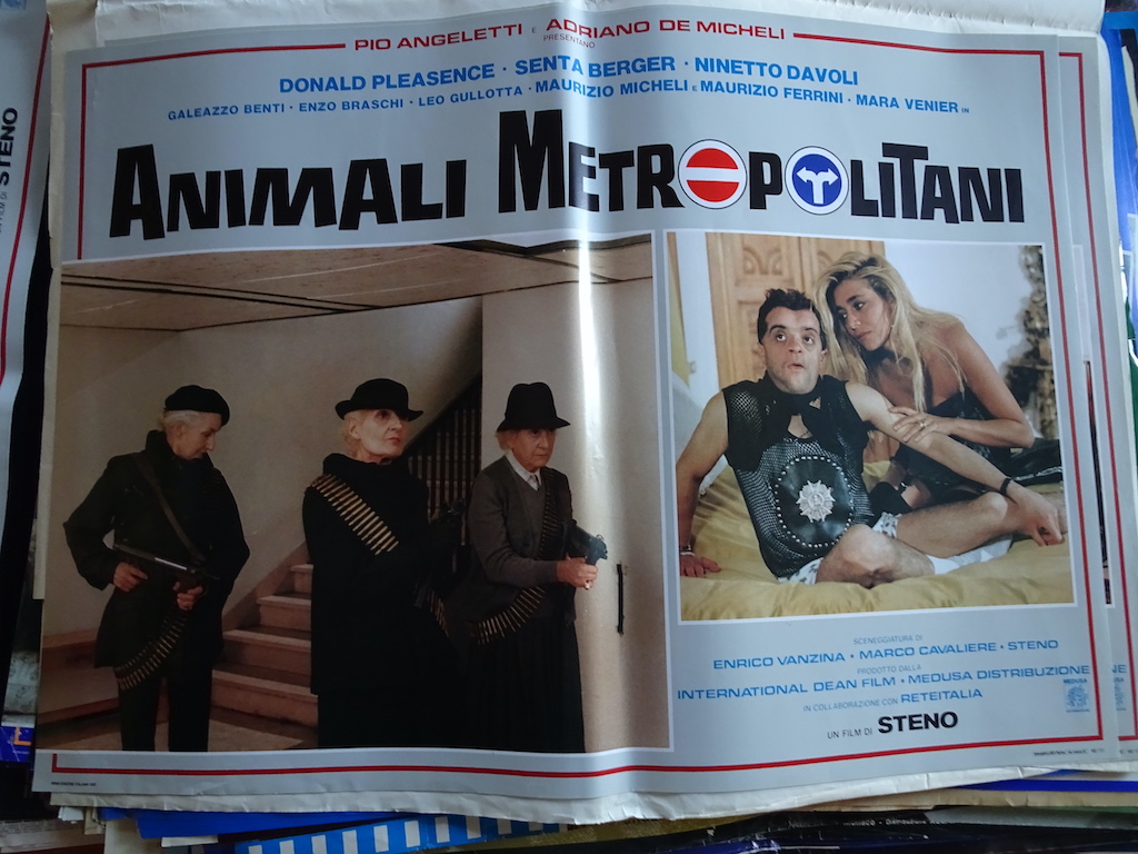 Animali metropolitani 7