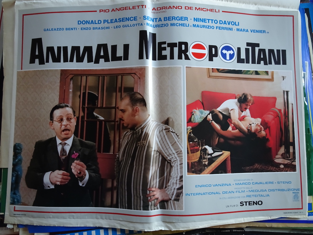 Animali metropolitani 8