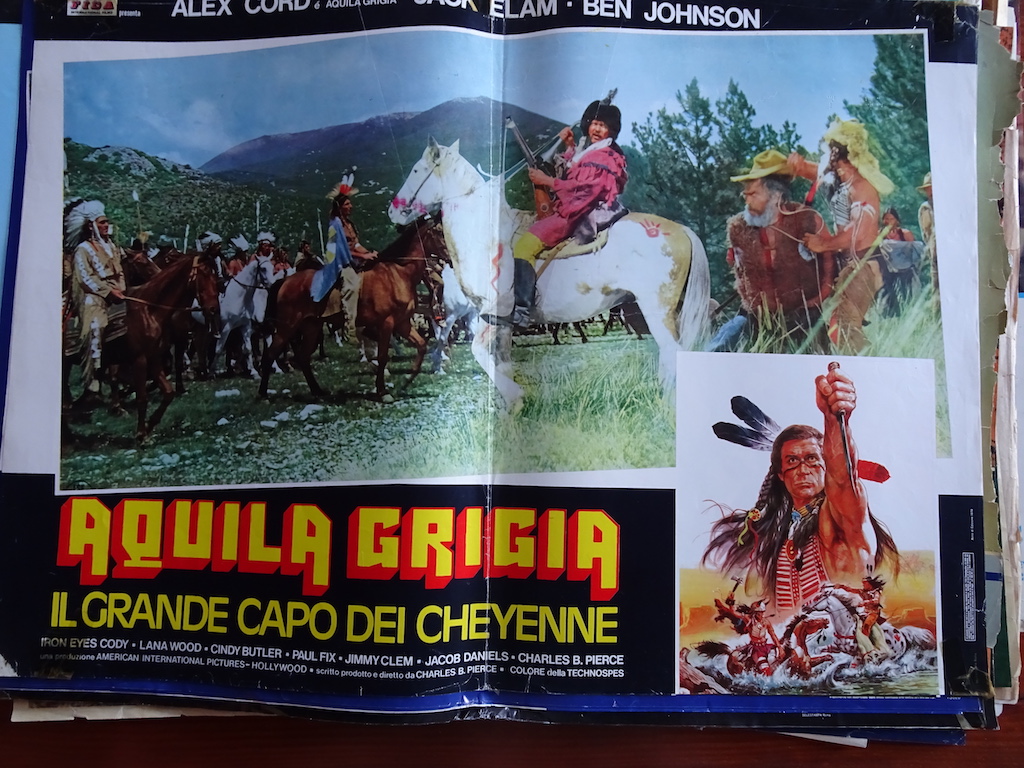 Aquila grigia, il grande capo dei Cheyenne 1