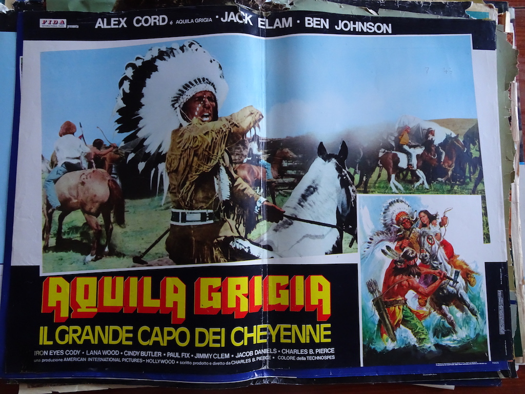 Aquila grigia, il grande capo dei Cheyenne 2