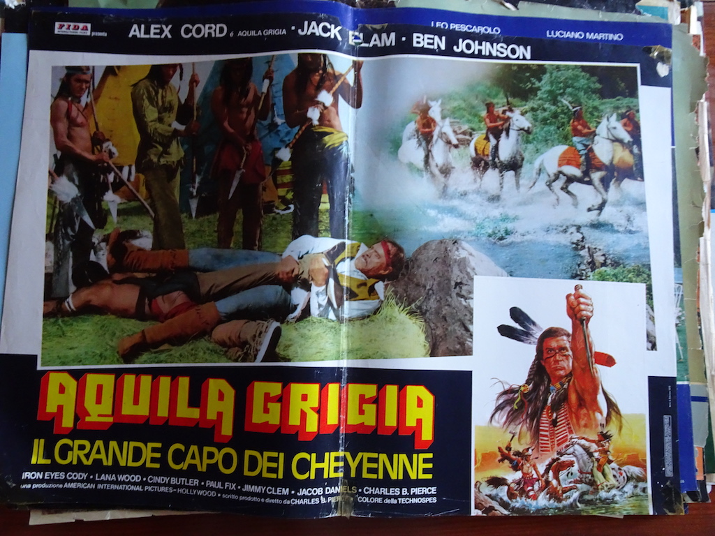 Aquila grigia, il grande capo dei Cheyenne 3