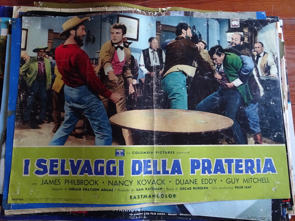 I selvaggi della prateria