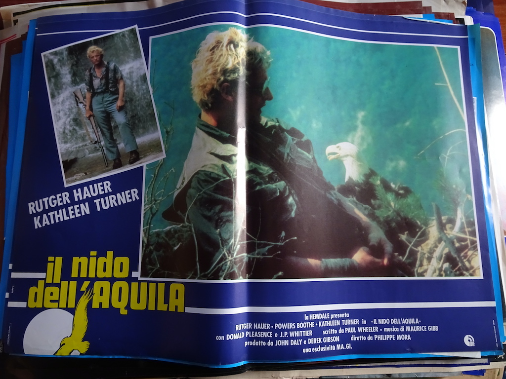 Il nido dell’aquila 5