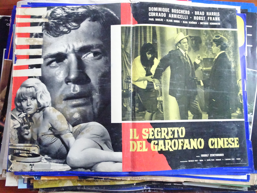 Il segreto del garofano cinese