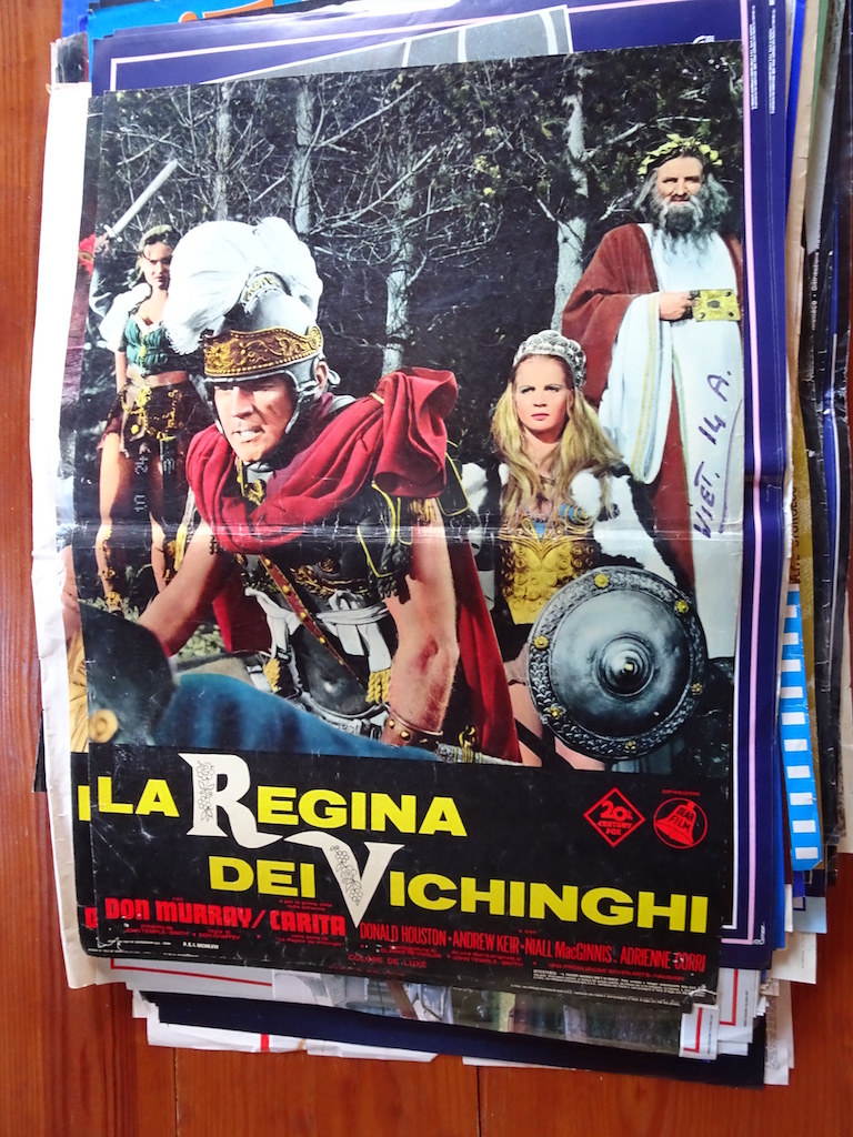 La regina dei vichinghi 1