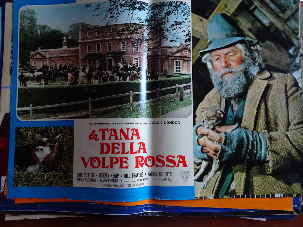 La tana della volpe rossa 1