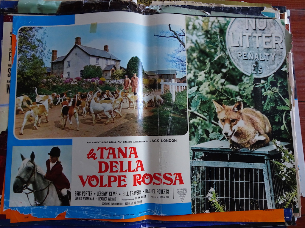 La tana della volpe rossa 2