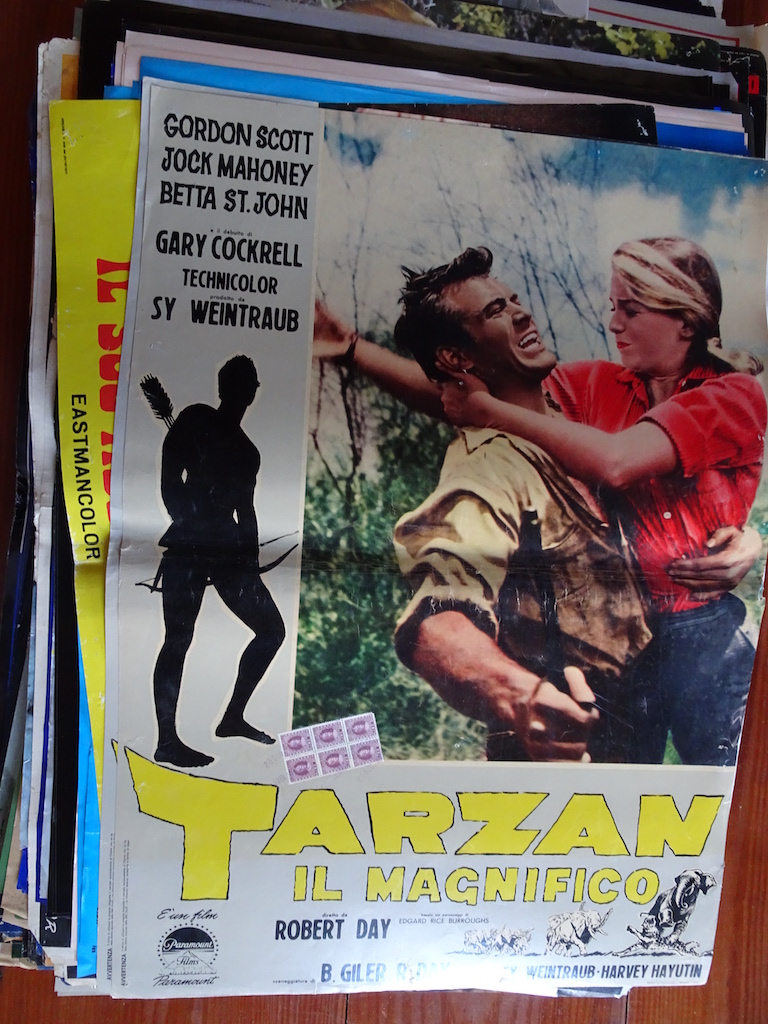 Tarzan il magnifico 1
