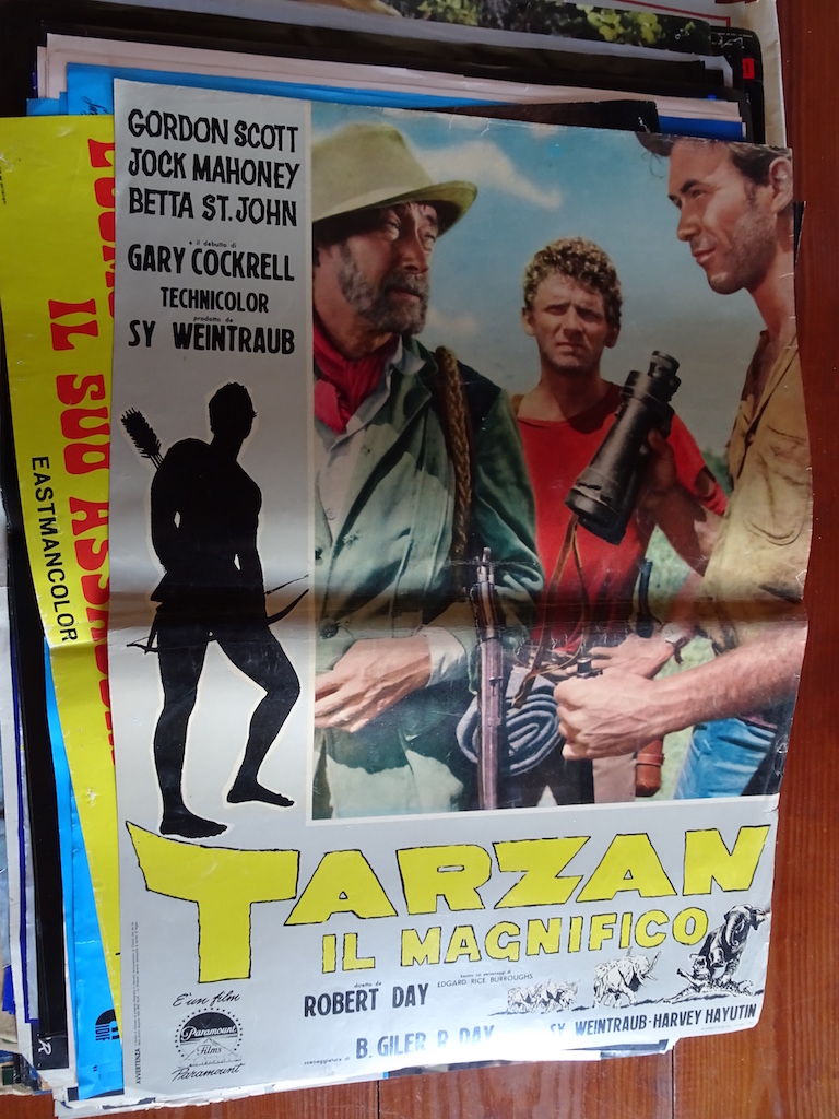 Tarzan il magnifico 3