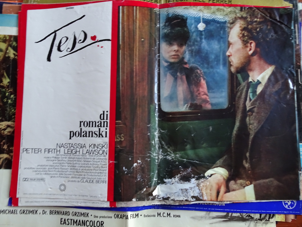 Tess 3