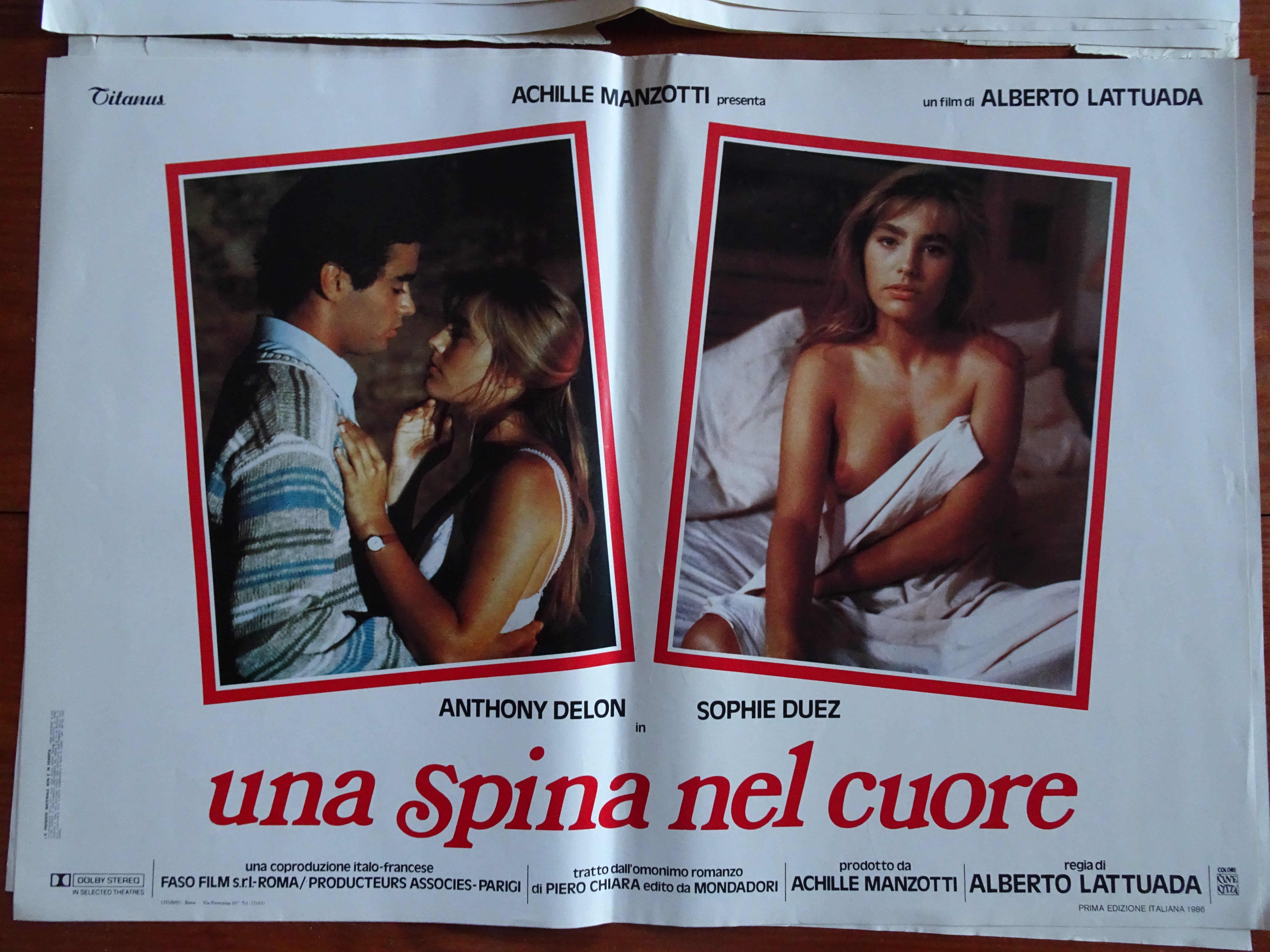 Una spina nel cuore 5