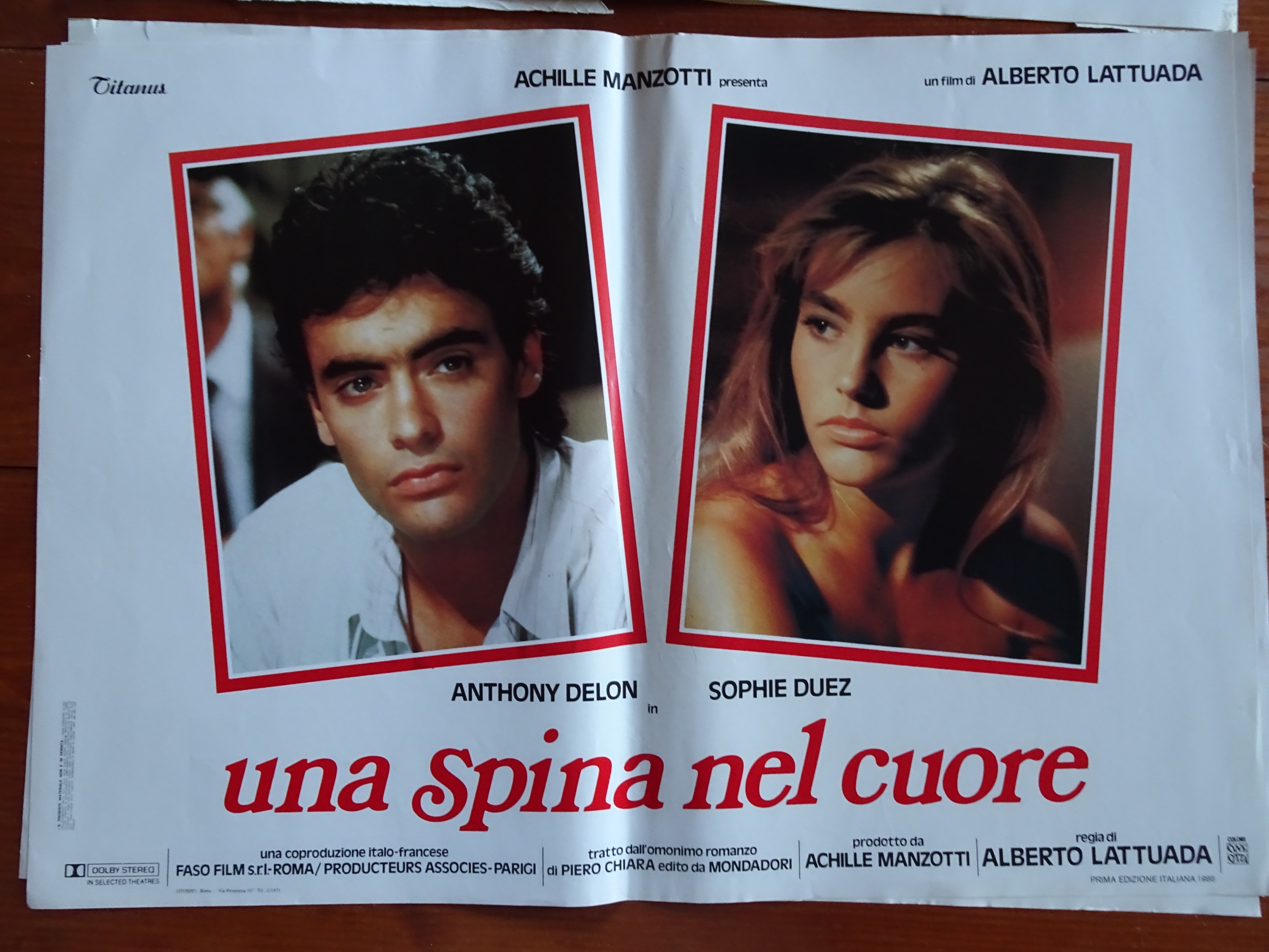 Una spina nel cuore 6