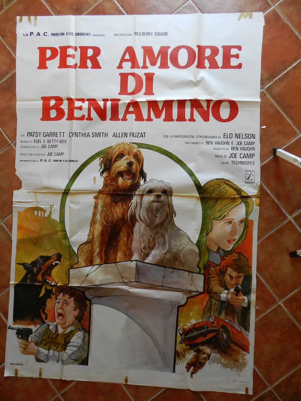 Per amore di Beniamino