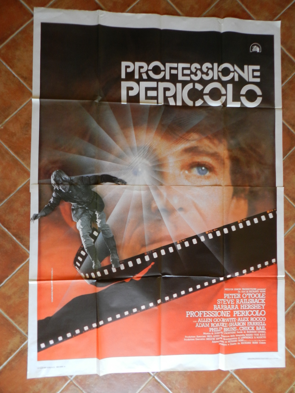 Professione pericolo
