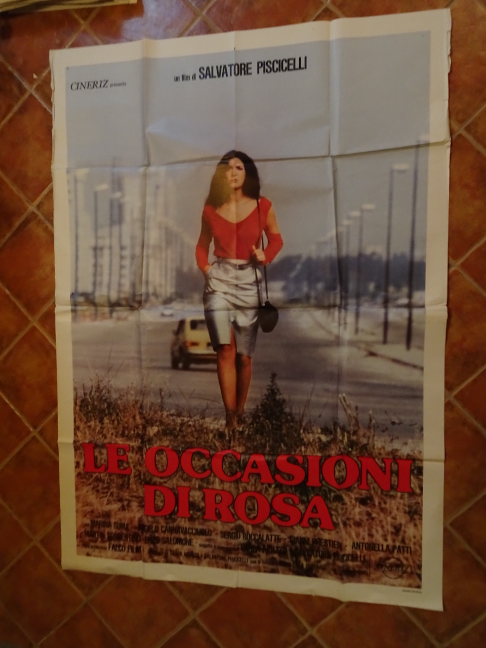 Le occasioni di Rosa