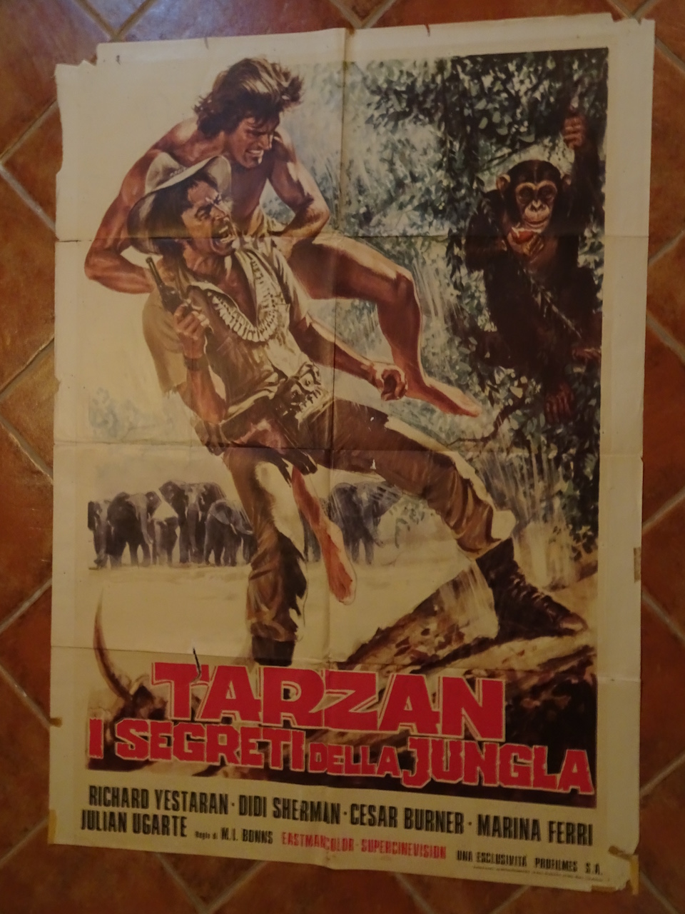 Tarzan e i segreti della giungla