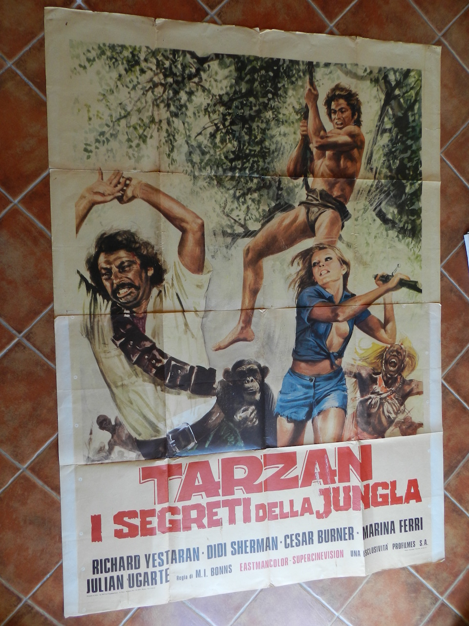 Tarzan e i segreti della giungla2