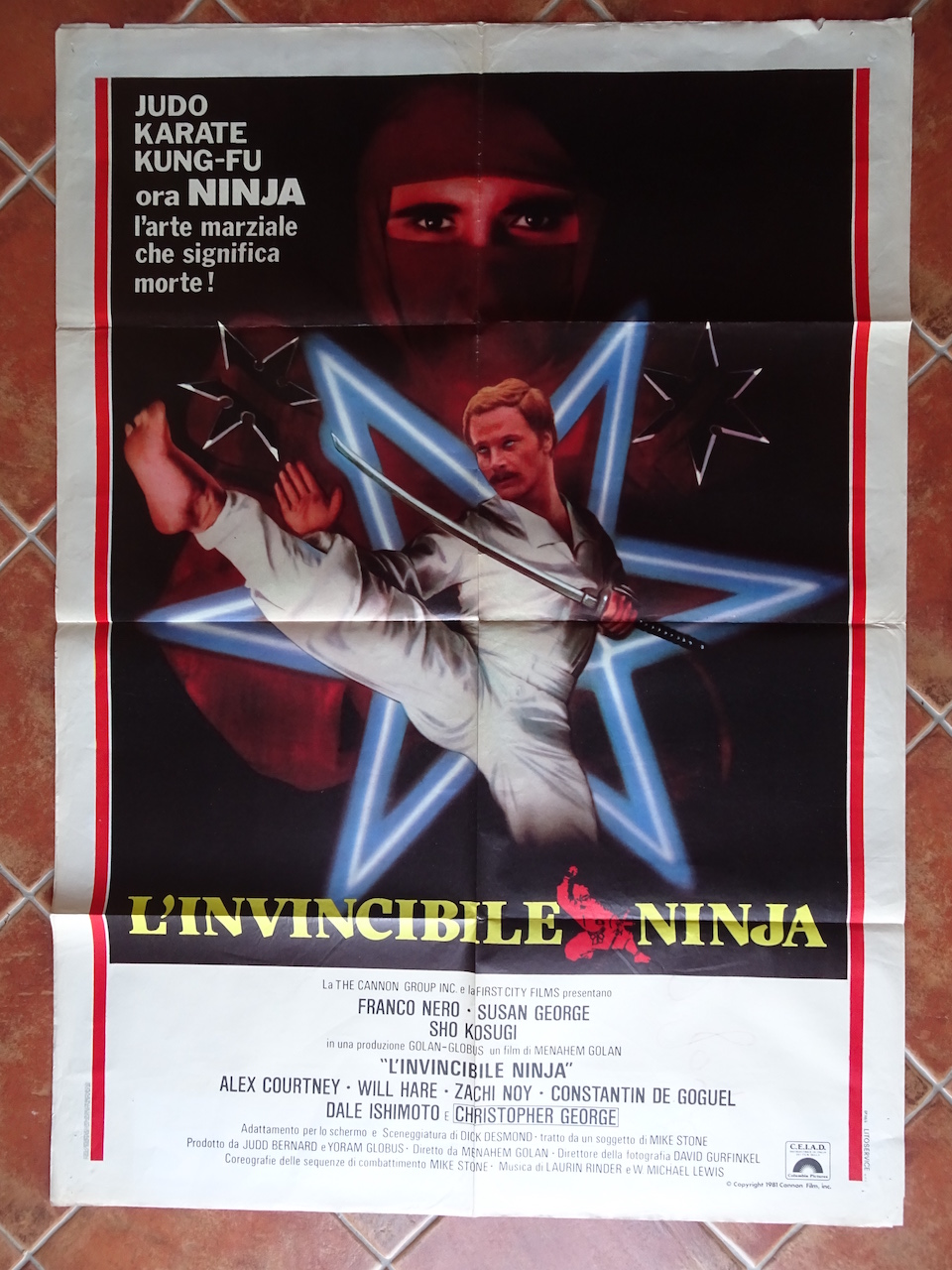 L_invincibile ninja