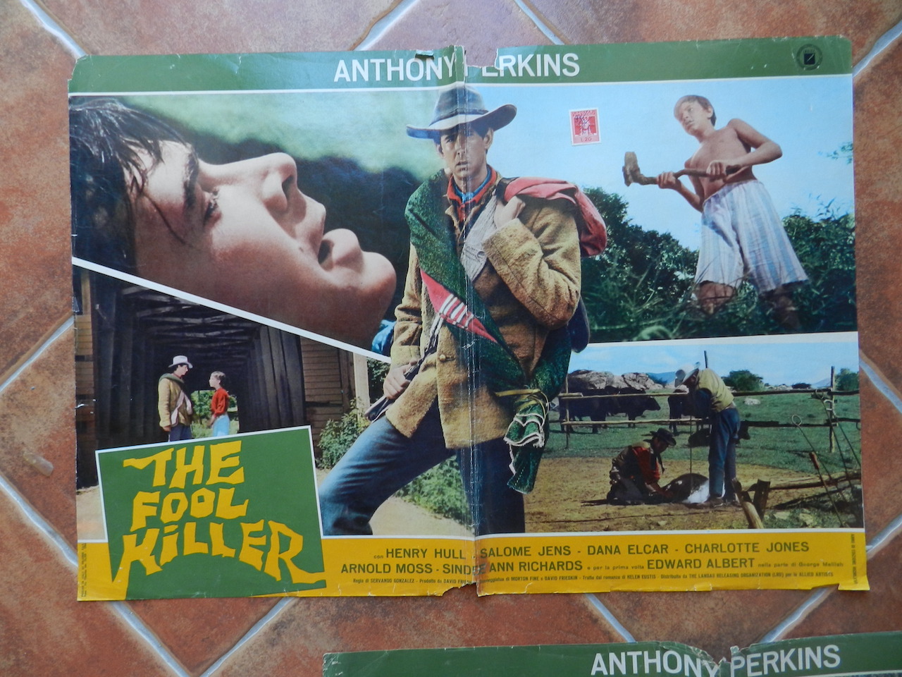 The Fool Killer
