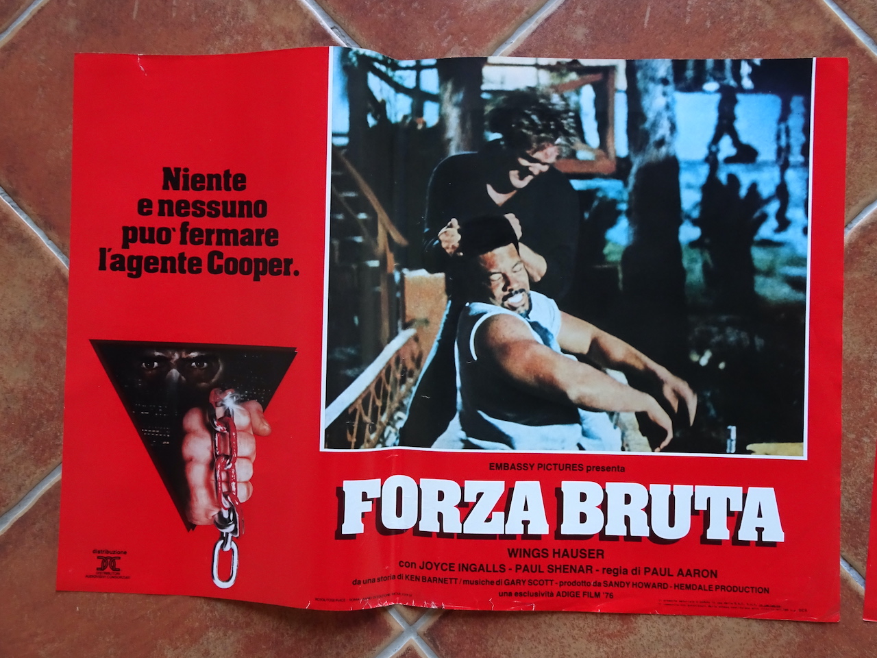 Forza bruta