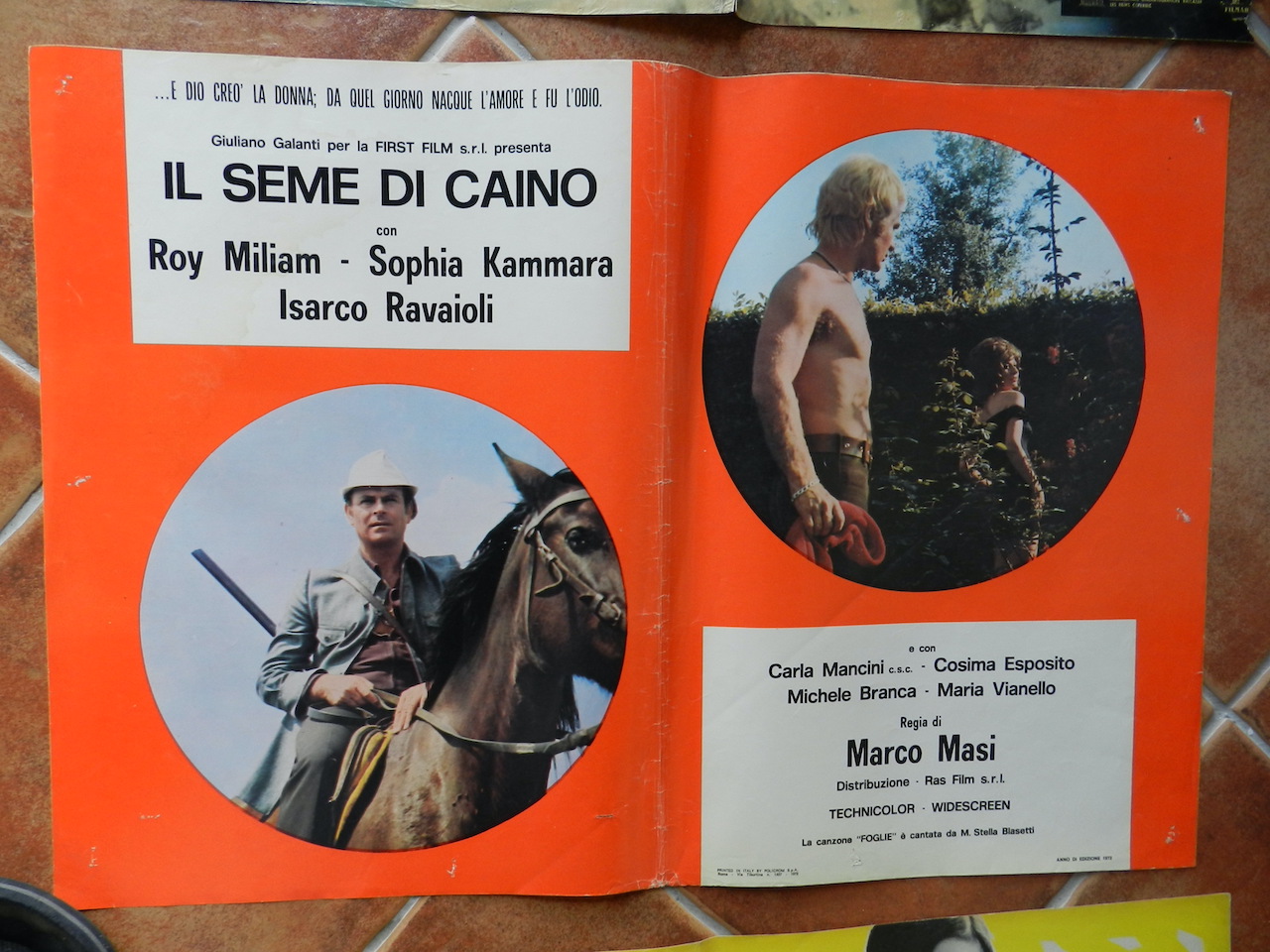 Il seme di Caino